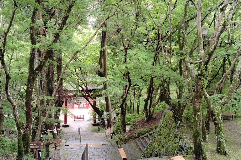 Nara: Explore Tanzan Shrine’s Pagoda and Sacred History