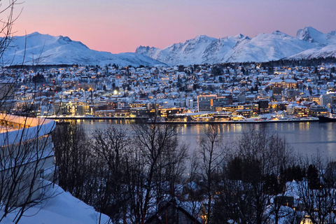 Tromsø: Fjellheisen Local Guided Hike