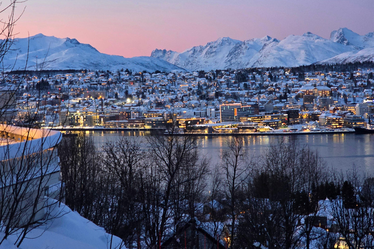 Tromsø: Fjellheisen Local Guided Hike