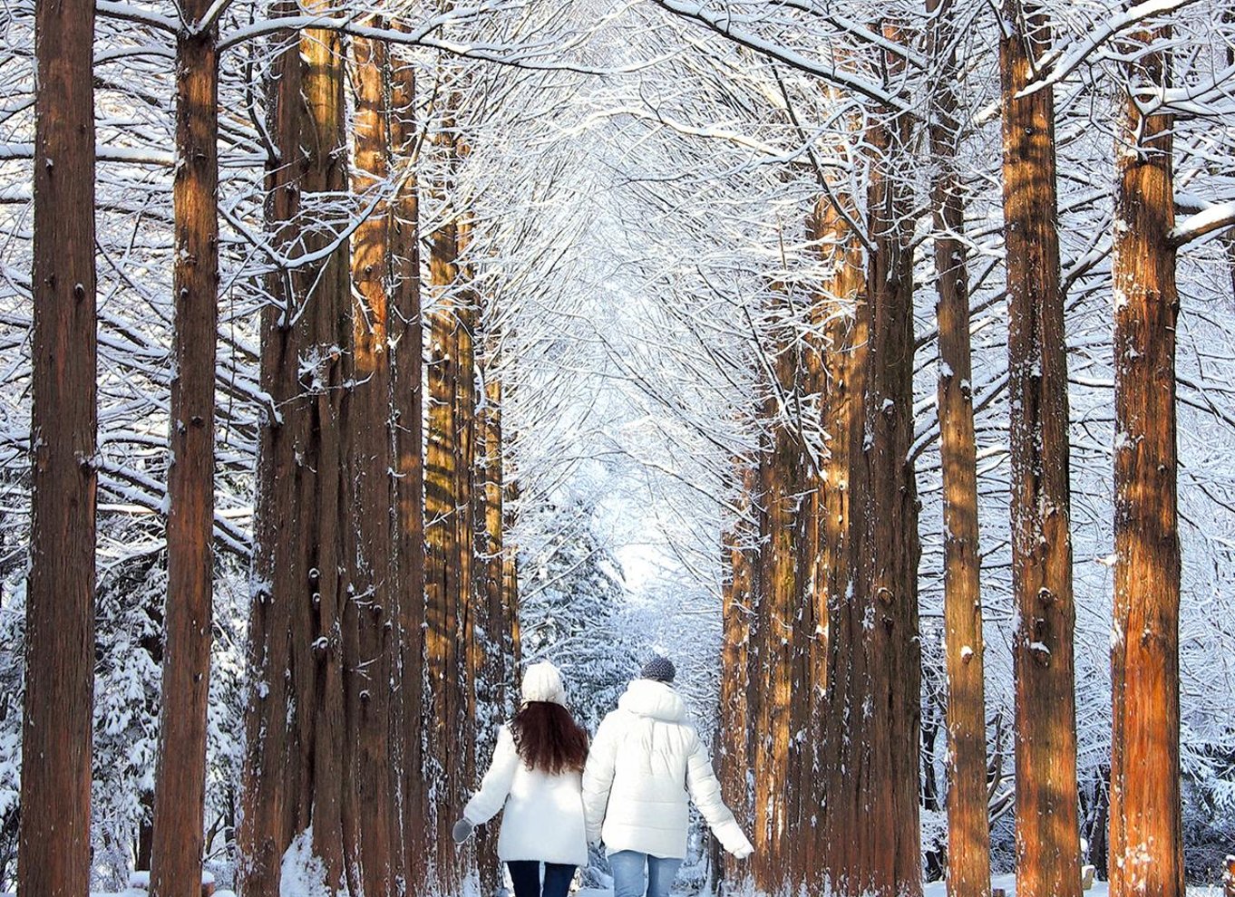 Fra Seoul: Dagstur til Seoraksan Nationalpark og Nami Island