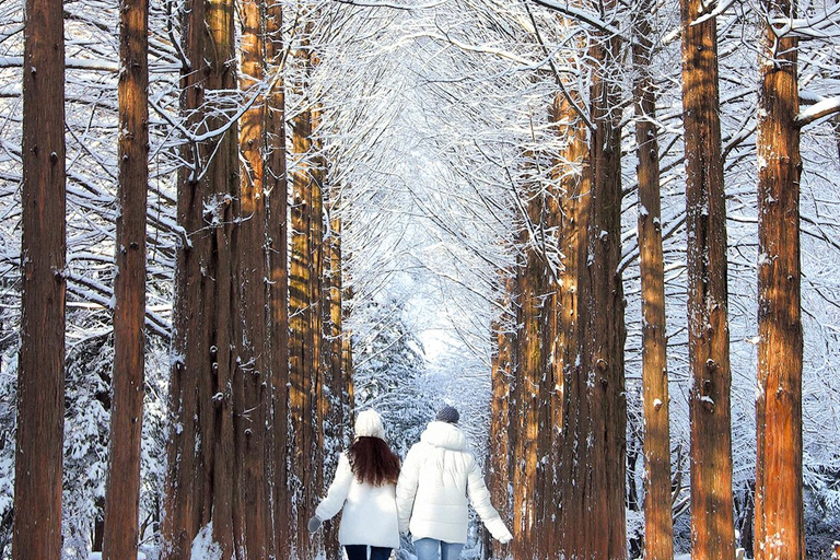 Seoul: Seoraksan National Park & Nami Island [Autumn] From Seoul: Seoraksan National Park & Nami Island