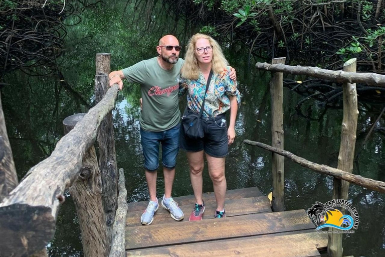 Wycieczka z delfinami Mnemba, las Jozani i restauracja The RockMiejsce zbiórki wyłącznie w Mnemba Transfer Point