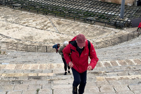 Carthage and Sidi Bou Said Tour Carthage and Sidi Bou Said Tour