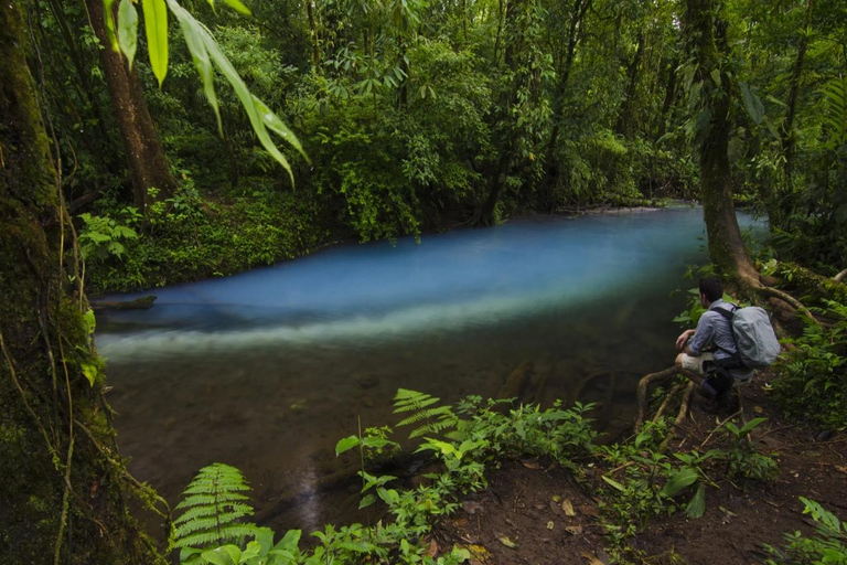 Ticket to Rio Celeste Waterfall & Tenorio National Park