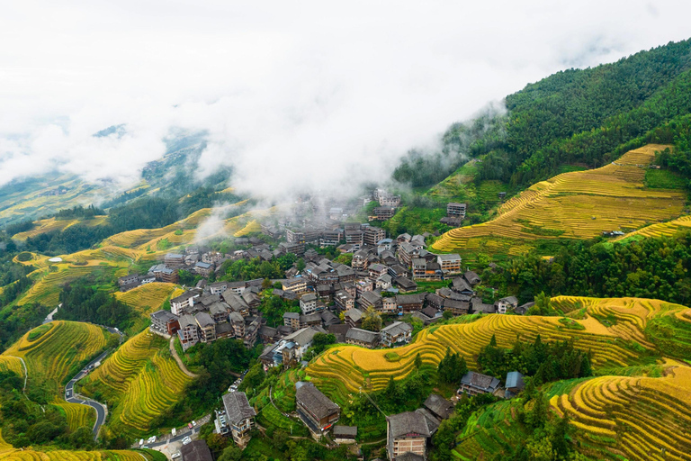 Longji Rice Terraces & Yao-Zhuang Village Cultural Tour Private tour with English Guide