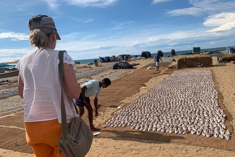 Colombo: Negombo Cultural Photo Tour with Local Lunch