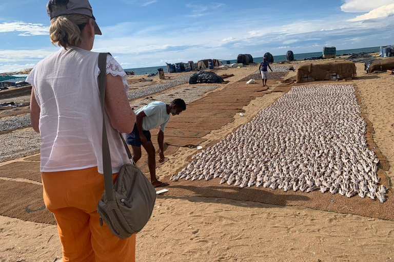 Colombo: Negombo Cultural Photo Tour with Local Lunch