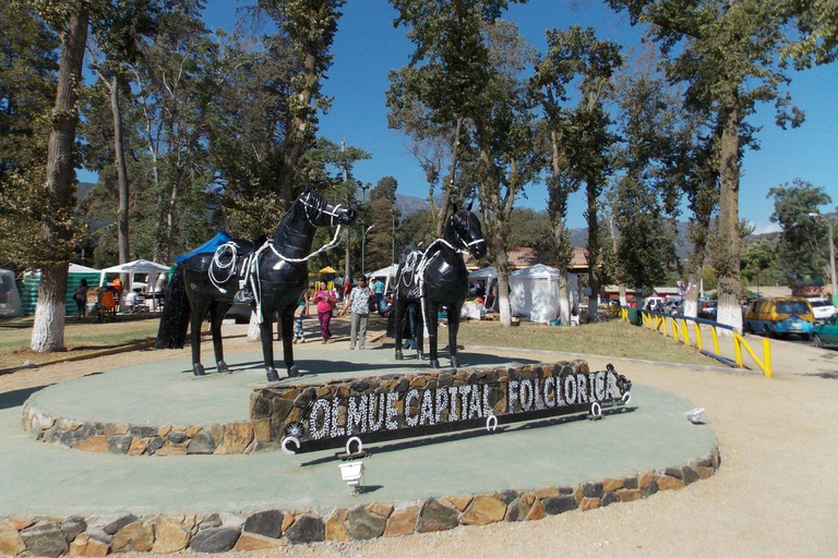 Santiago: La Campana National Park &amp; Olmué Private Tour