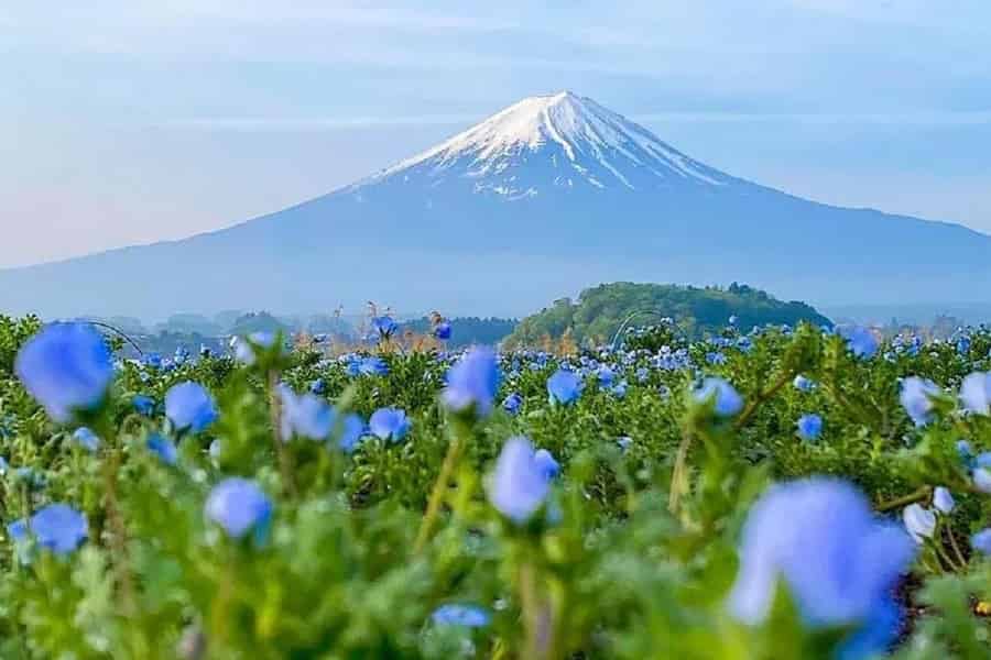 Fuji & Kawaguchiko-Seilbahn, Oshino Hakkai Tagestour. Foto: GetYourGuide Fuji & Kawaguchiko-Seilbahn, Oshino Hakkai Tagestour. Foto: GetYourGuide