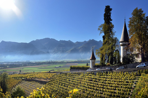 Escursione privata di un giorno: Losanna a Vevey, Montreux e il Castello di Aigle