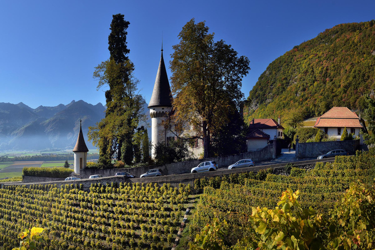 Viagem de 1 dia privada: Lausanne a Vevey, Montreux e Castelo de Aigle