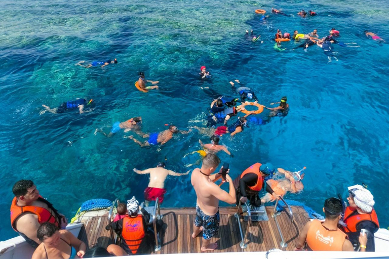 Sharm El-Sheikh: Tiran Island kryssning, snorkling och dykning med lunchSnorklingstur (snorklingsutrustning ingår ej)