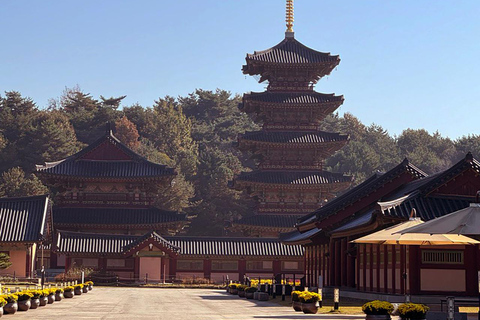 Von Seoul aus: Gongju und Buyeo 2-Tagestour mit Unterkunft