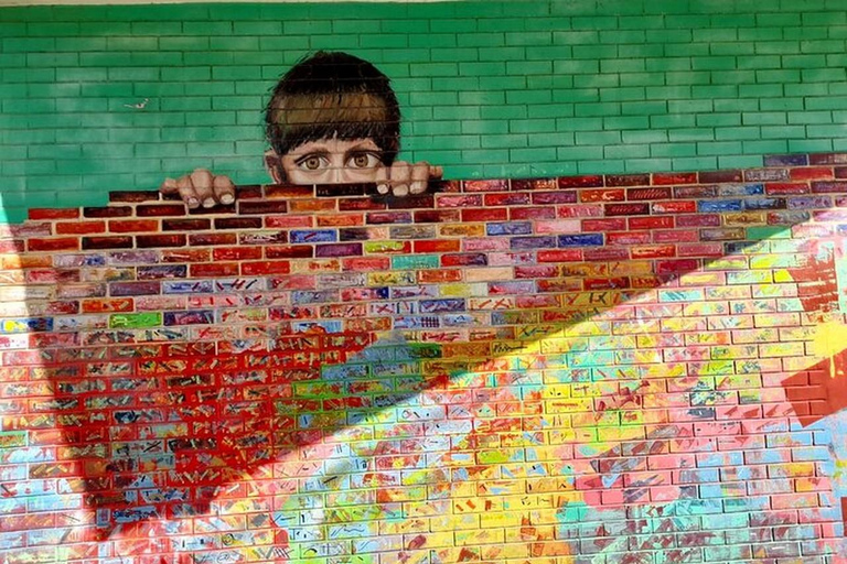 布宜诺斯艾利斯：帕勒莫索霍街头艺术徒步之旅