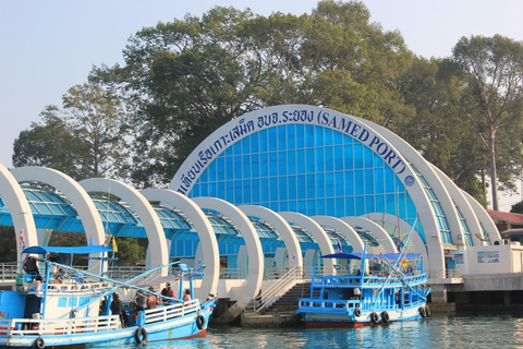 Traslado privado Muelle de Ban Phe (Koh Samet), Bangkok, PattayaMPV (4 ppl) / Muelle Ban Phe a Aeropuerto Don Mueang