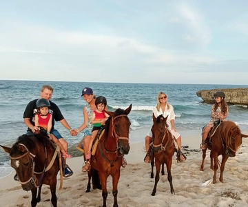 Noord: Aruba Natural Ecological Horseback Tour
