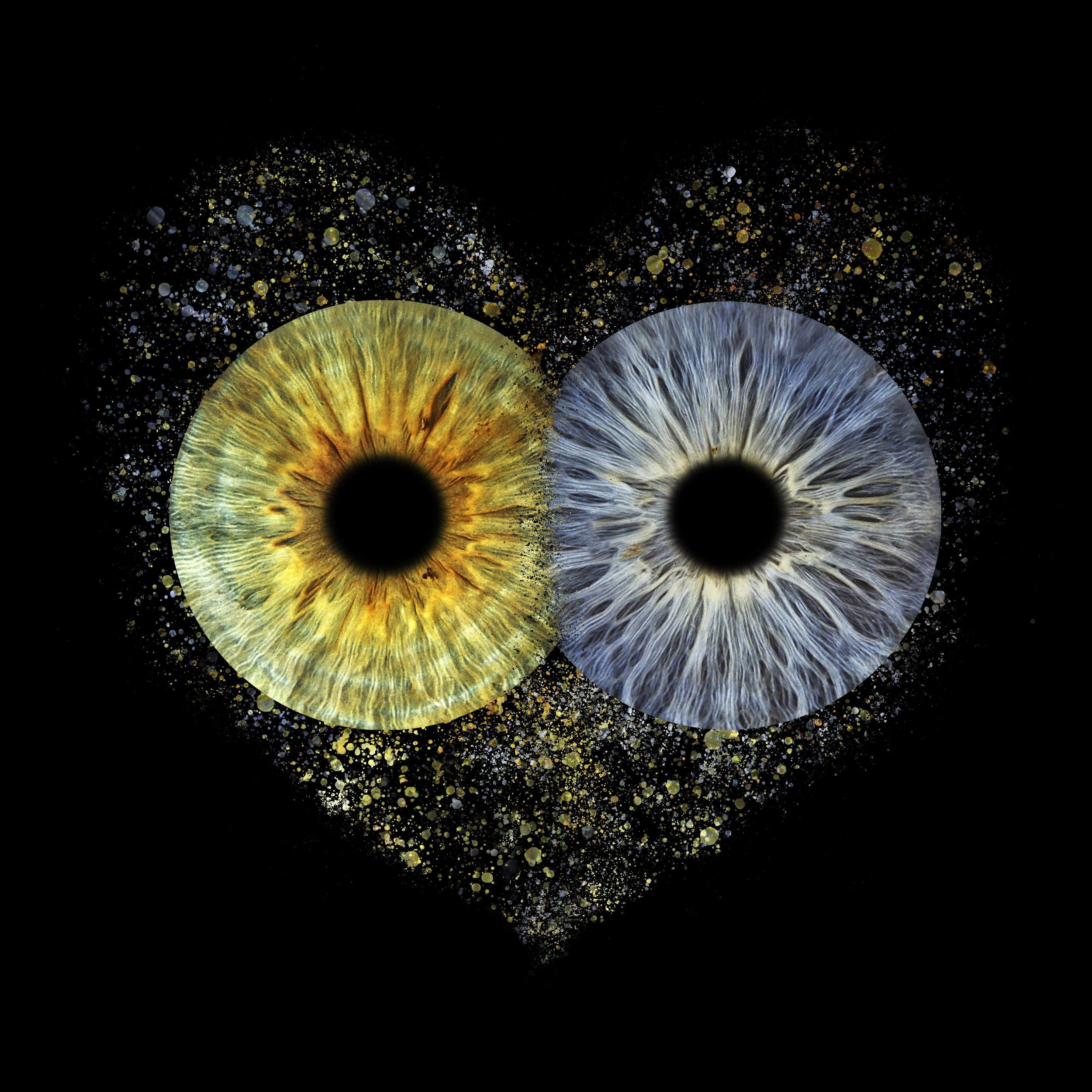 EVIAN - Foto der Iris mit gerahmtem Abzug 1 Iris (ab 3 Jahren)