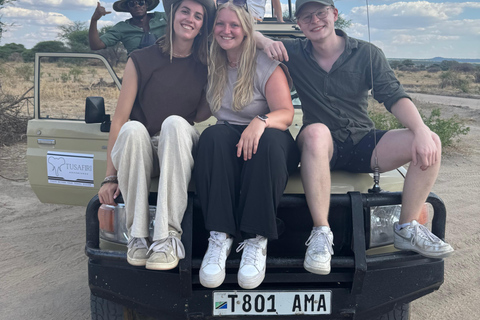Arusha : Excursion d'une journée dans le parc national du Tarangire avec déjeuner