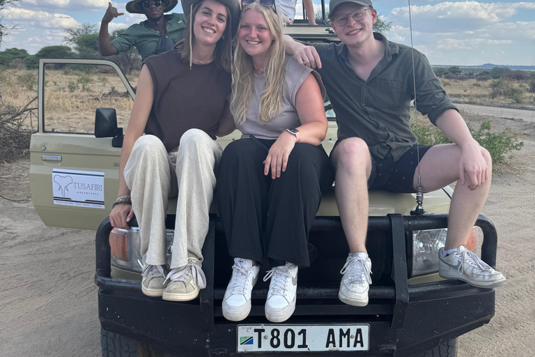Arusha : Excursion d'une journée dans le parc national du Tarangire avec déjeuner