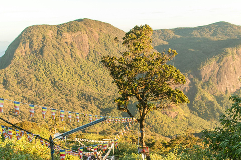 Kandy: Adam's Peak Guided Hike with Snacks and Pickup Nuwaraeliya: Adam's Peak Guided Hike with Snacks and Pickup