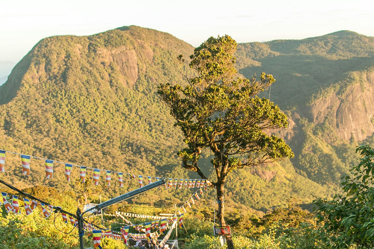 Kandy: Adam's Peak Guided Hike with Snacks and Pickup Nuwaraeliya: Adam's Peak Guided Hike with Snacks and Pickup