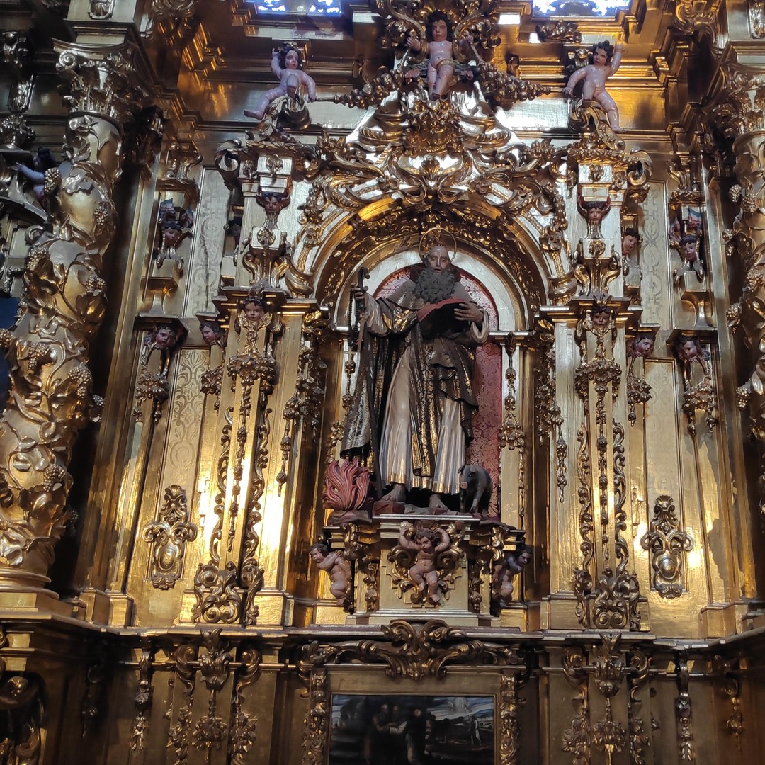 Galería de fotos para redes