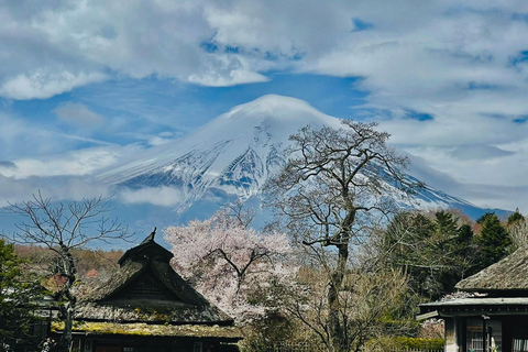 Excursão personalizada de 2 dias a Tóquio e Monte Fuji com motorista inglês