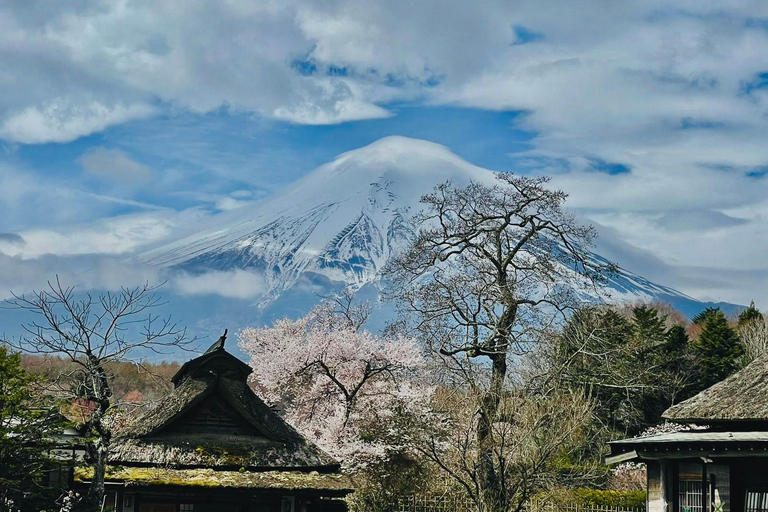 2-dniowa wycieczka do Tokio i na górę Fuji z angielskim kierowcą