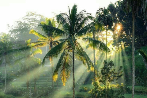 Ubud: Private Tour with Gunung Kawi Temple & Waterfall With Entry Tickets