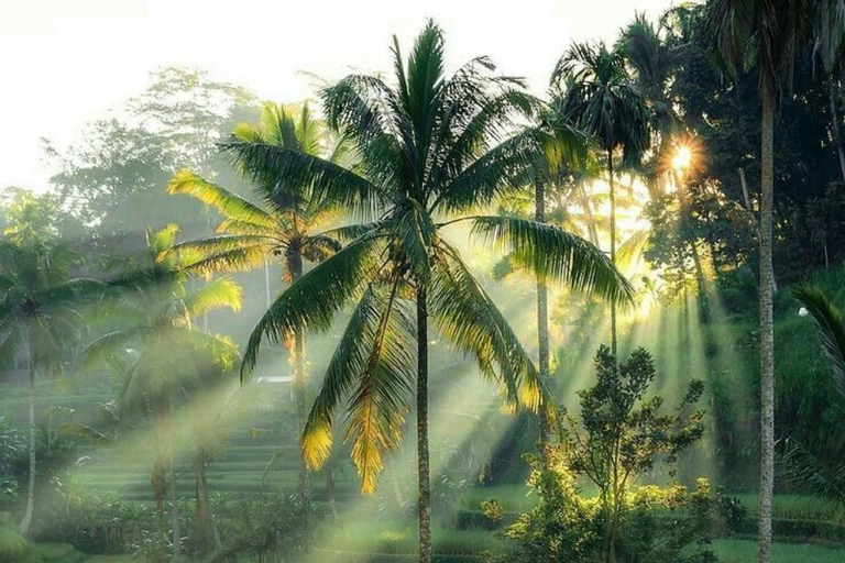 Ubud: Private Tour with Gunung Kawi Temple & Waterfall With Entry Tickets