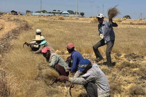 Addis Ababa: Gondar, Gorgora, and Bahir Dar 6-Day Tour