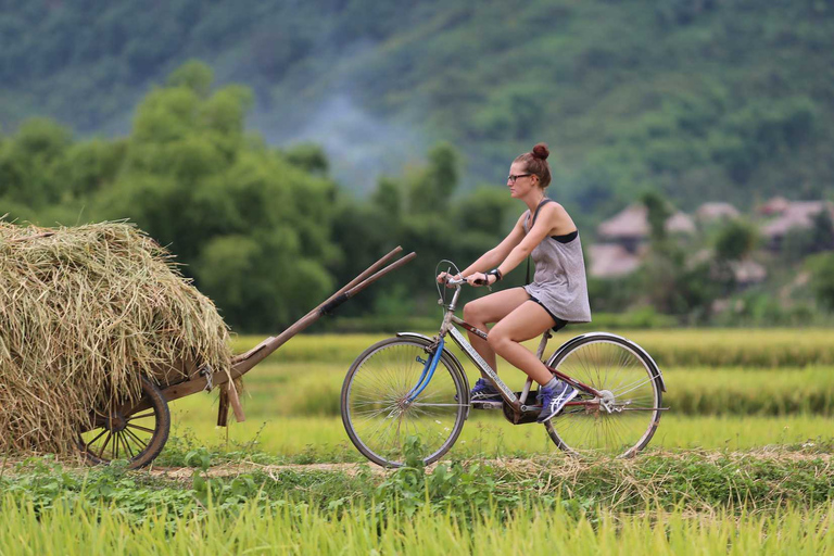 Ninh Binh liten grupp från Hanoi: Båt, cykel och vardagslivNinh Binh liten grupp från Hanoi: Båt, cykel och vandring