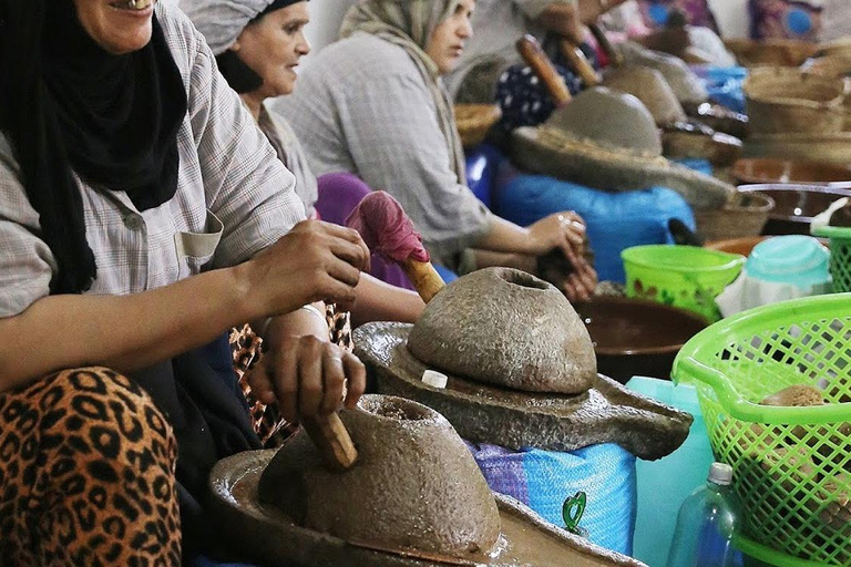 Au départ de Marrakech : excursion d&#039;une journée en petit groupe à Essaouira et SekkalaAu départ de Marrakech : Excursion à Essaouira en petit groupe