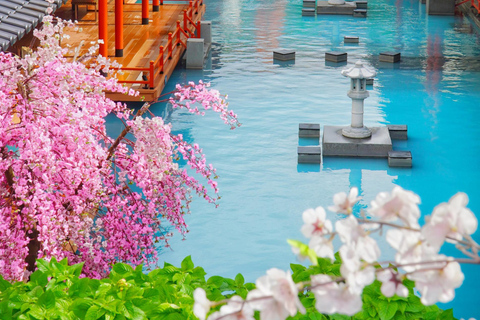 Da Nang: Mikazuki Water Park Ticket with Hotel Transfer Mikazuki Water Park Ticket + Buffet Lunch + Hotel Transfer