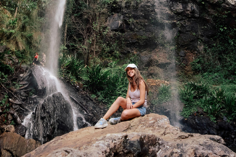 布里斯班：斯普林布鲁克七瀑布与天然桥之旅布里斯班：斯普林布鲁克七瀑布与天然石桥游览