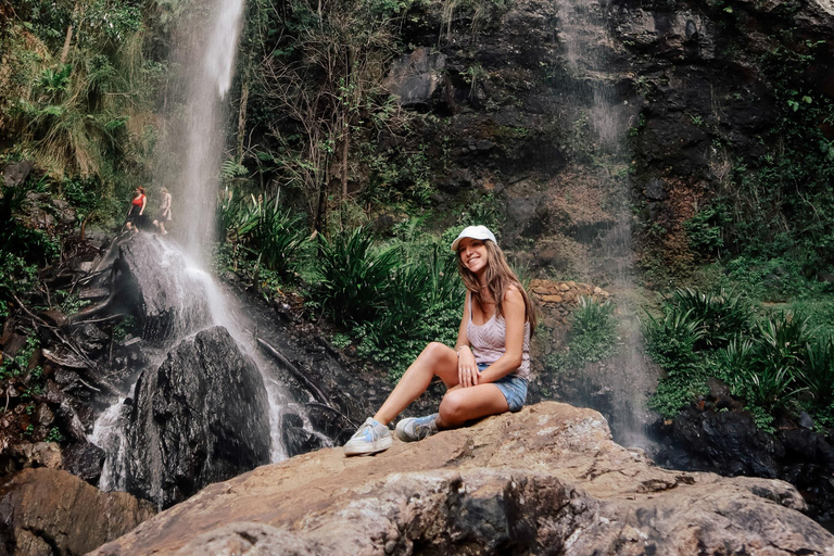布里斯班：斯普林布鲁克七瀑布与天然桥之旅布里斯班：斯普林布鲁克七瀑布与天然石桥游览