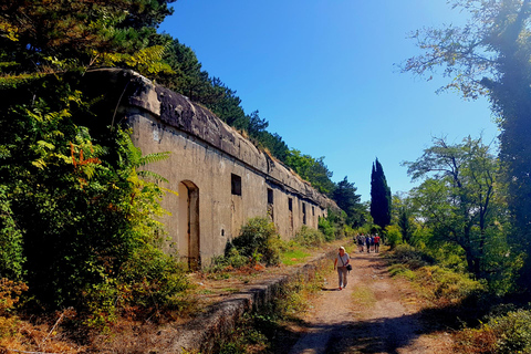 Hiking Vrmac peninsula with panoramic view on Kotor bay