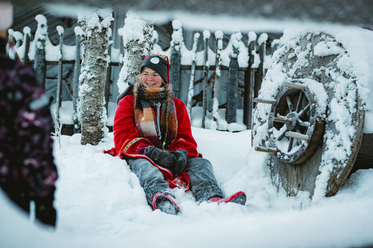 Levi：Arcandia，精灵法庭/日光和公园/黑暗精灵法庭：3 小时体验和公园之旅