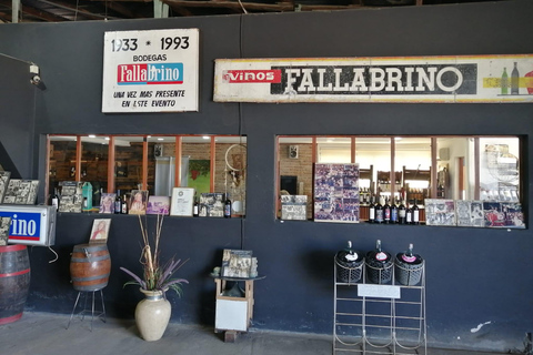 Montevideo: Tour of a century-old urban winery and tasting of 6 wines
