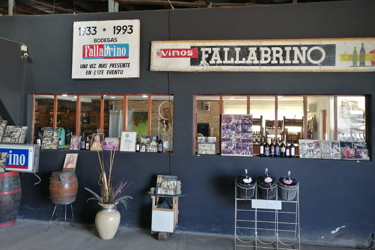Montevideo: Tour of a century-old urban winery and tasting of 6 wines