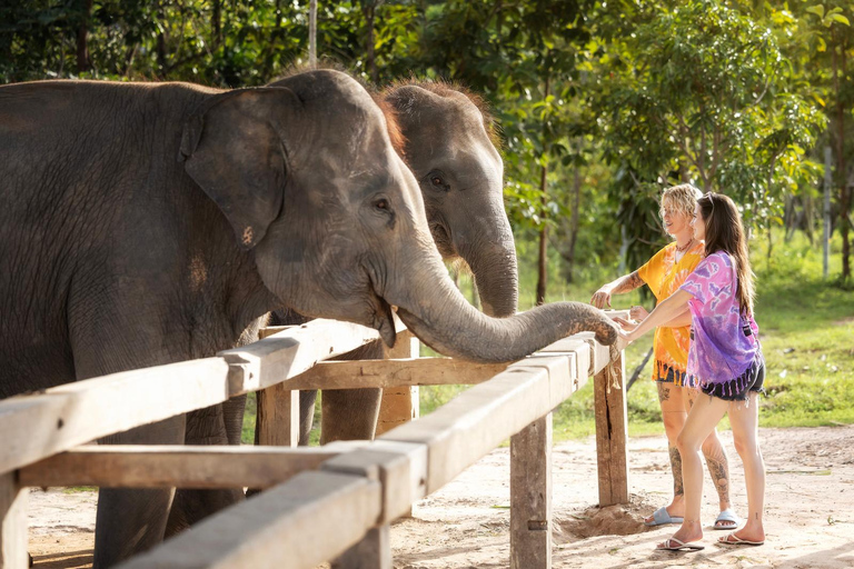 Chiang Mai: Etyczny program karmienia i kąpieli słoni