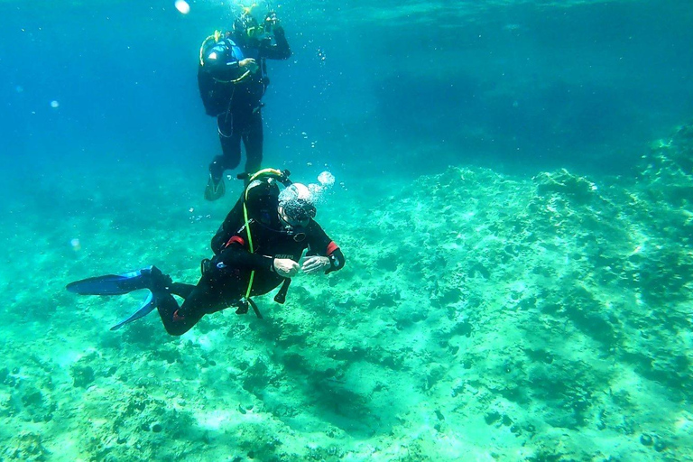 Budva: Scuba Diving Experience
