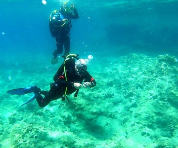 Budva Diving - Scuba Diving Experience