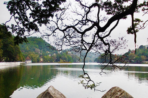 Kandy Heritage and Cultural Temple Tour