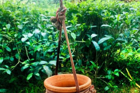 Depuis Ella : Expérience du Toddy (Kithul Raa) dans le village d&#039;Ella