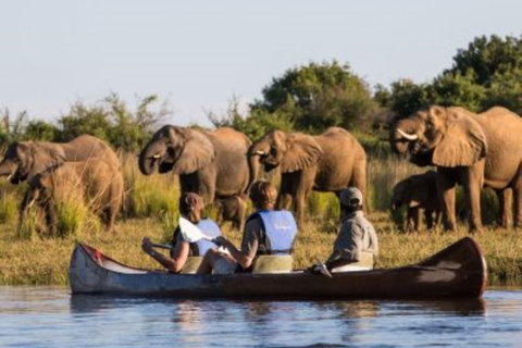 Arusha: National Park Day Trip with Walking Safari