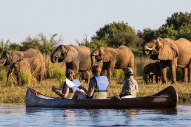 Arusha: National Park Day Trip with Walking Safari