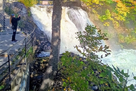 Oslo: Private Akerselva River Walk