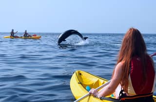 Kayak e snorkeling in un ricco ecosistema marino con video gratuiti