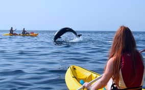  - Canarie.it